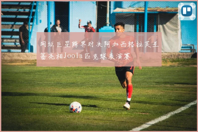 网坛巨星跨界对决阿加西格拉芙王蔷亮相Joola匹克球表演赛
