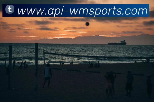 多媒体互动体验